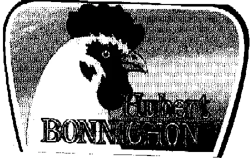 HUBERT BONNICHON