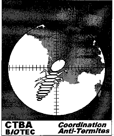 ENJEUX ET STRATEGIE COORDINATION ANTI-TERMITES CTBA BIOTEC