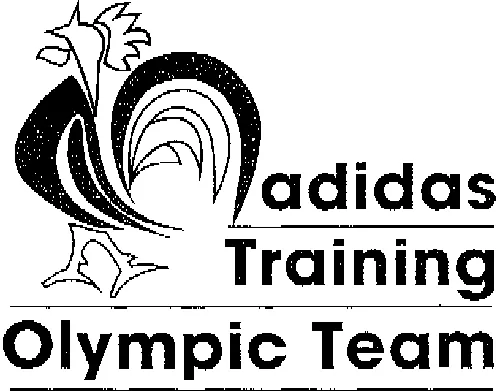 ADIDAS TRAINING OLYMPIC TEAM