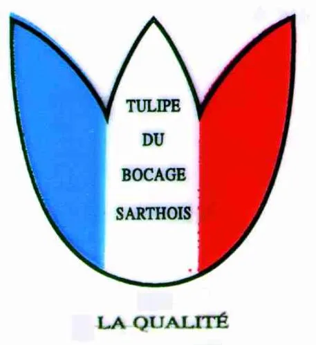 TULIPE DU BOCAGE SARTHOIS LA QUALITE