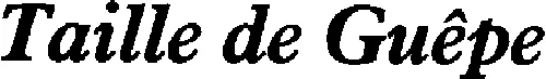 TAILLE DE GUEPE