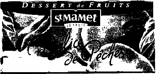 ST MAMET DELICE DE PECHES