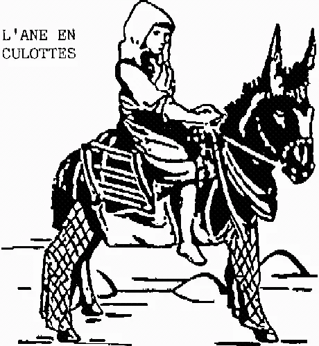 L'ANE EN CULOTTES