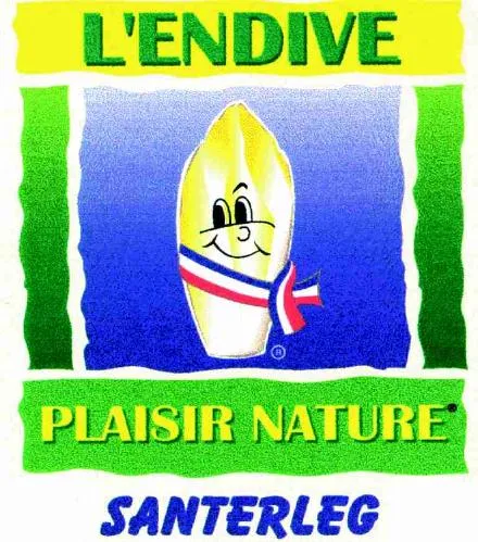 L'ENDIVE PLAISIR NATURE SANTERLEG