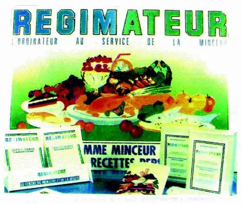 REGIMATEUR L'ORDINATEUR AU SERVICE DE LA MINCEUR