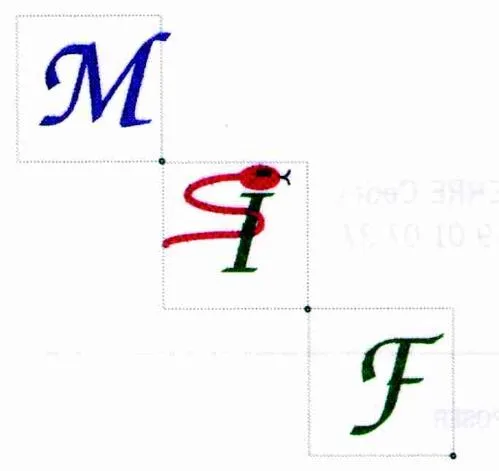 MEDECINE INFORMATION FORMATION M.I.F.