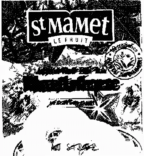 ST MAMET LE FRUIT