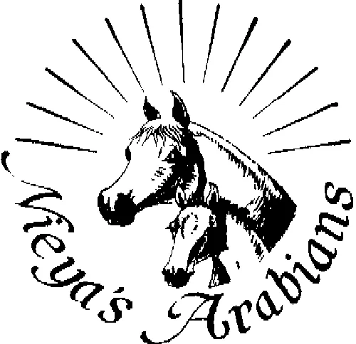 NIEYA'S ARABIANS
