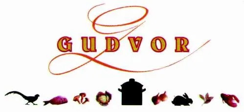 G GUDVOR
