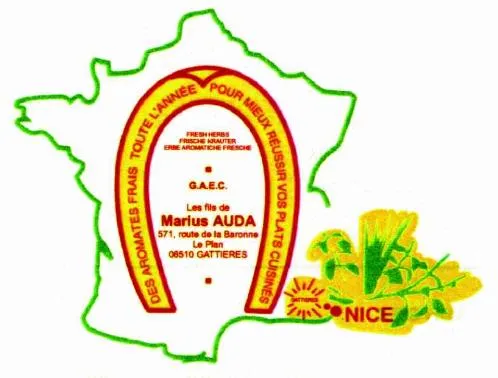 DES AROMATES FRAIS TOUTE L'ANNEE POUR MIEUX REUSSIR VOS PLATS CUISINES LES FILS DE MARIUS AUDA