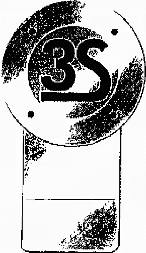 3S