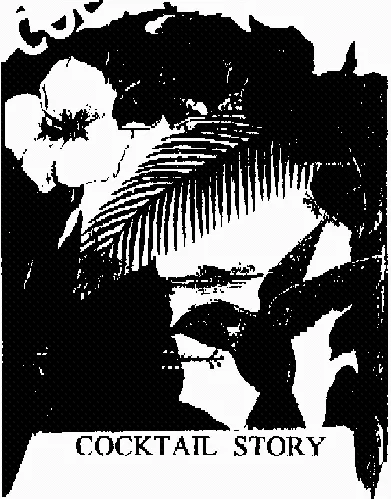 COCKTAIL STORY