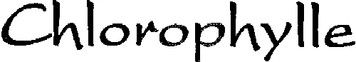 CHLOROPHYLLE