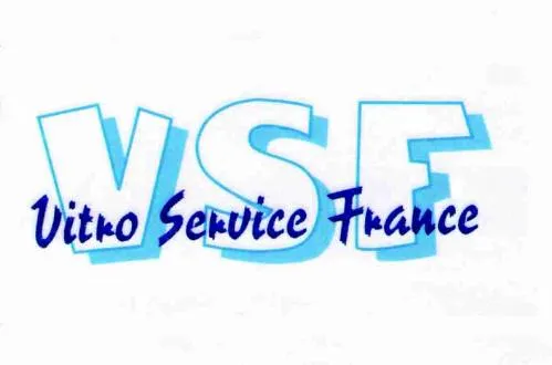 VSF VITRO SERVICE FRANCE