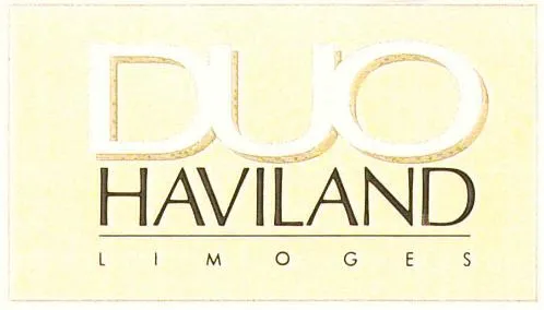 DUO HAVILAND LIMOGES