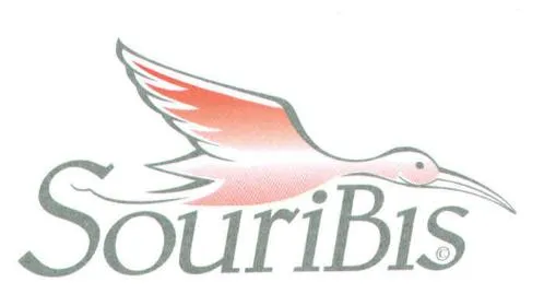 SouriBis