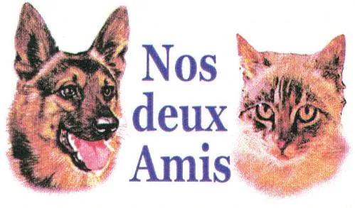 Nos deux Amis