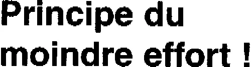 Principe du moindre effort !