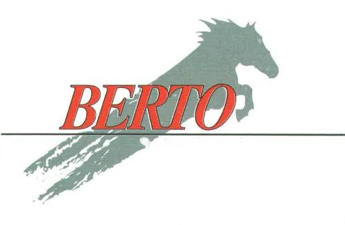 BERTO