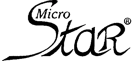 Micro Star