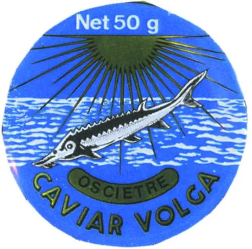 Caviar Volga - Oscietre -