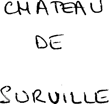 CHATEAU DE SURVILLE