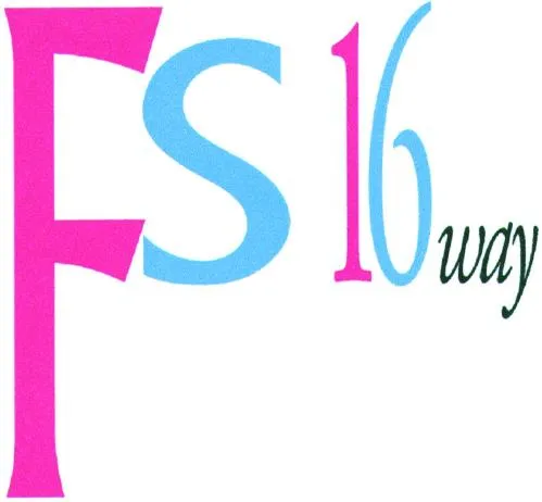 FS 16 WAY