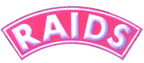 RAIDS