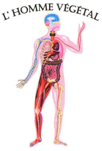 L'HOMME VEGETAL