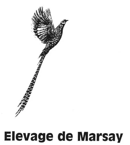 ELEVAGE DE MARSAY