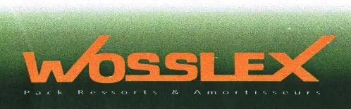 WOSSLLEX Pack Ressorts Amortisseurs