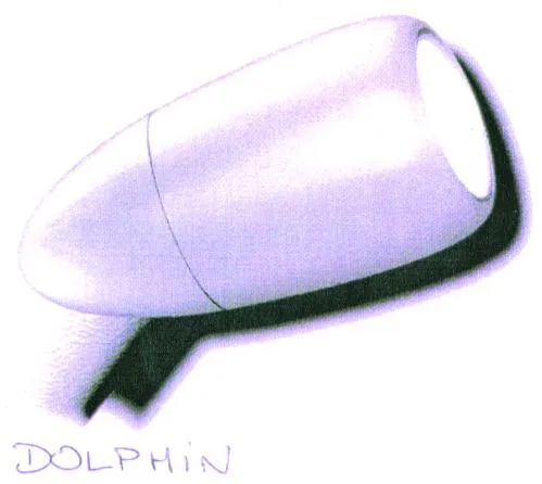 Dolphin