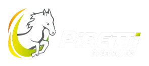 GROUPE PIRETTI ENERGIES