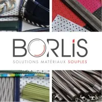 BORLIS