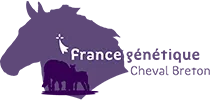 GROUPEMENT D'INTERET PUBLIC CHEVAL BRETON (GIP CHEVAL BRETON)