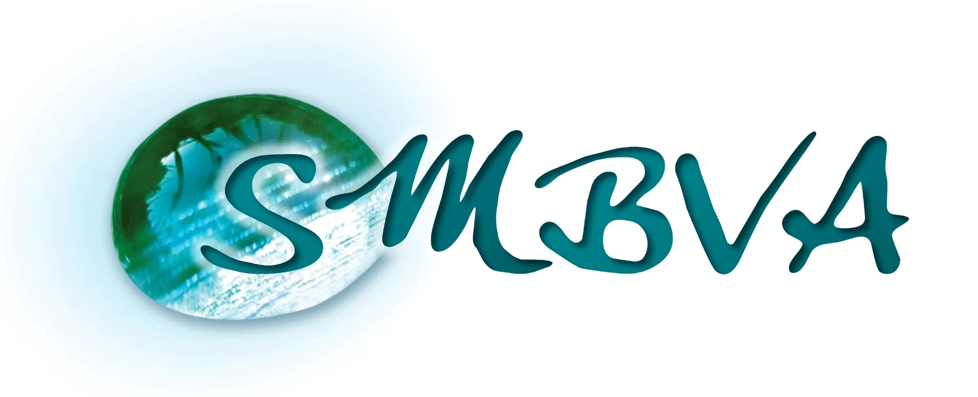 SYNDICAT MIXTE DU BASSIN VERSANT DE L'ARLY (SMBVA)