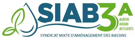 SYNDICAT POUR L'AMENAGEMENT DES BASSINS DE L'AURON, DE L'AIRAIN ET DE LEURS AFFLUENTS (SIAB3A) (SIAB3A)
