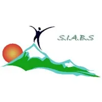 SIVU ASSAINISSEMENT BASSINS SALLANCHES (SIABS)