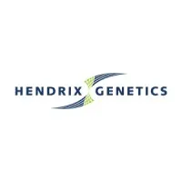 HENDRIX GENETICS TURKEYS FRANCE