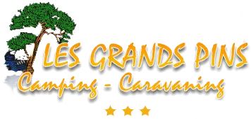 LES GRANDS PINS