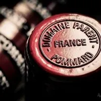SOCIETE D'EXPLOITATION DU DOMAINE PARENT