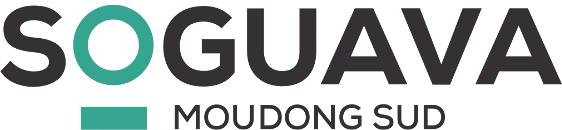 SOCIETE GUADELOUPEENNE DE VENTE D'AUTOMOBILES (SOGUAVA)