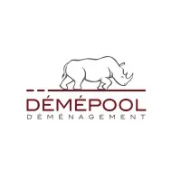 DEMEPOOL DISTRIBUTION