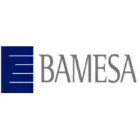 BAMESA FRANCE