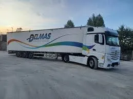 DELMAS SAS
