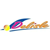 DELISLE LOGISTIQUE