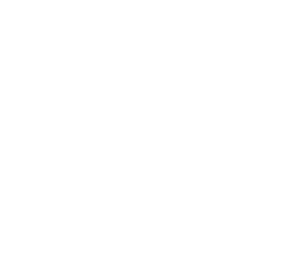 RUBIN SAS (RUBIN)
