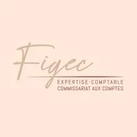 FINANCE GESTION EXPERTISE COMPTABLE (FIGEC)