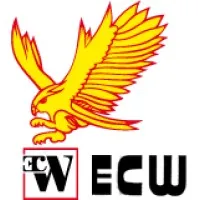 EXPERTISES, TESTS ET CONTROLES SUR TOUS MATERIAUX (ECW)