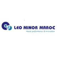 LEO MINOR (LEO MINOR)